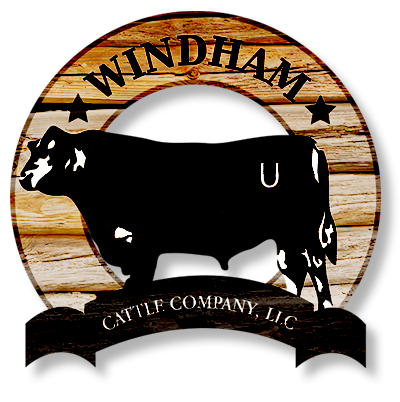 Windham Cattle Company, LLC